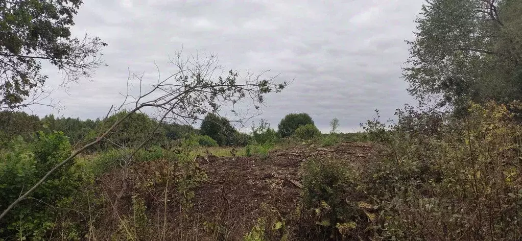 Участок в Московская область, Талдомский городской округ, д. ... - Фото 1