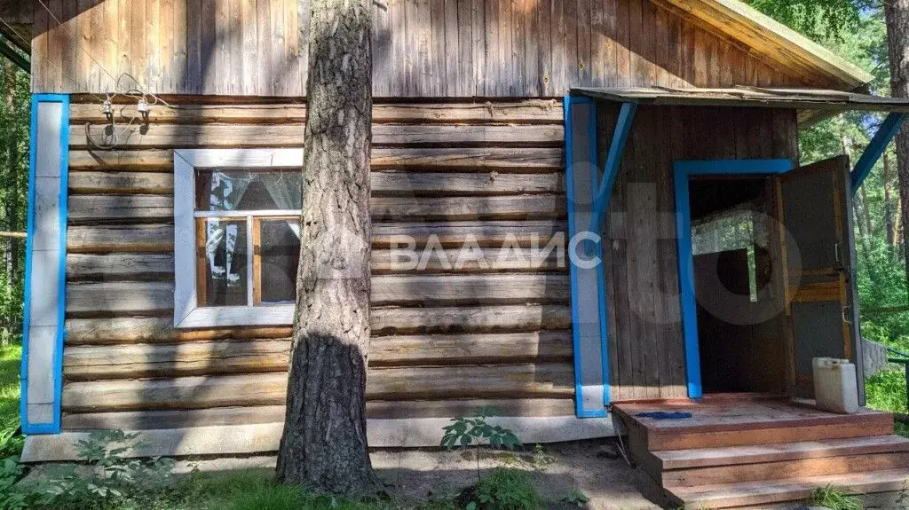 Дача 25,5 м на участке 8 сот. - Фото 1