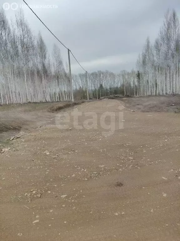 Участок в Новолуговской сельсовет, Садоводческое некоммерческое ... - Фото 1