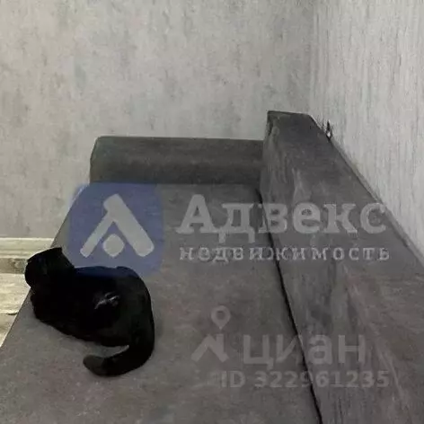 Студия Тюменская область, Тюмень Олимпийская ул., 18 (17.1 м) - Фото 1