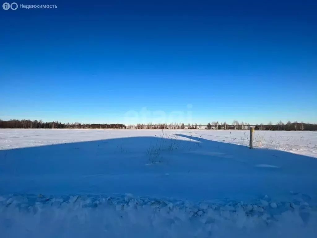 Участок в Кощаковское сельское поселение, деревня Старое Кощаково (10 ... - Фото 2