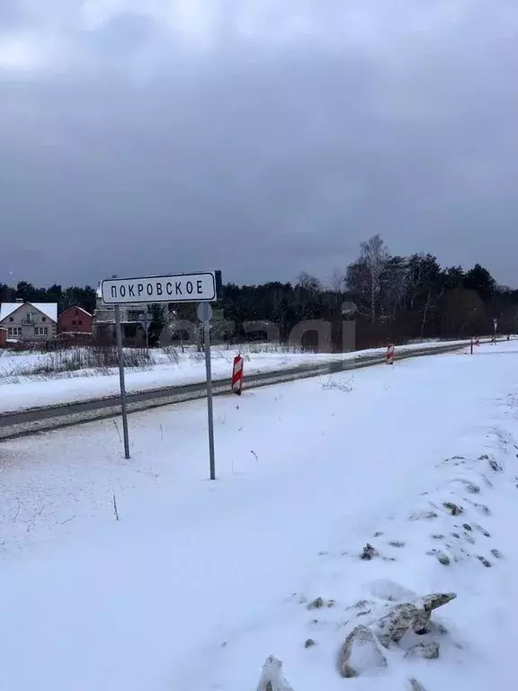 Участок в Калининградская область, Зеленоградский муниципальный округ, ... - Фото 1