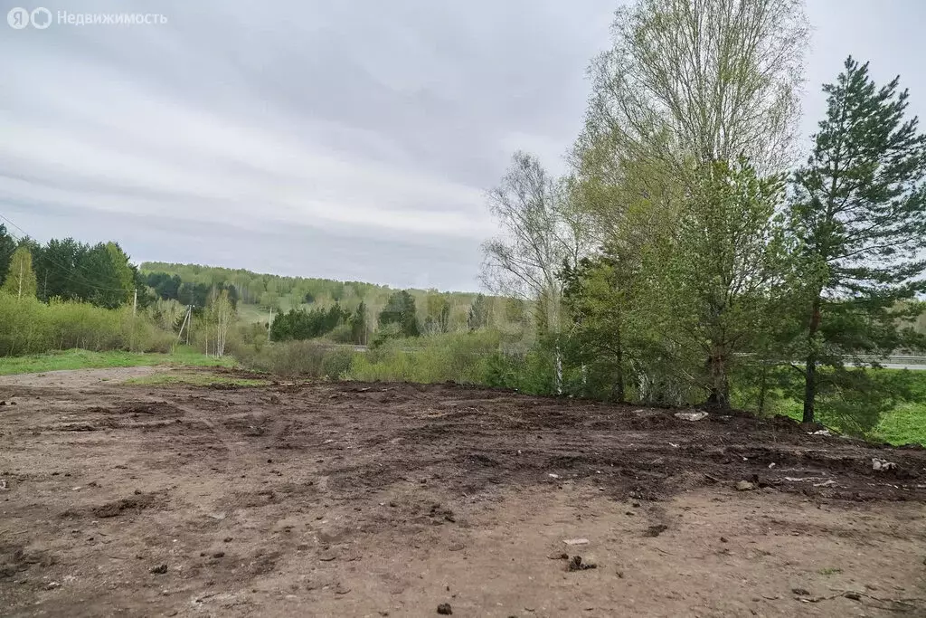 Участок в Кемеровский муниципальный округ, садоводческое ... - Фото 2