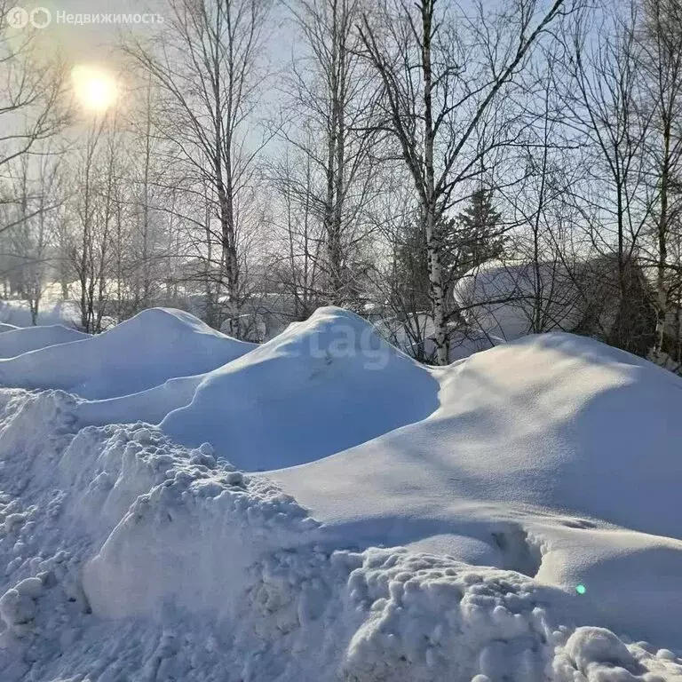 Участок в посёлок городского типа Шерегеш, СНТ Шерегешевец, 2-я Дачная ... - Фото 2