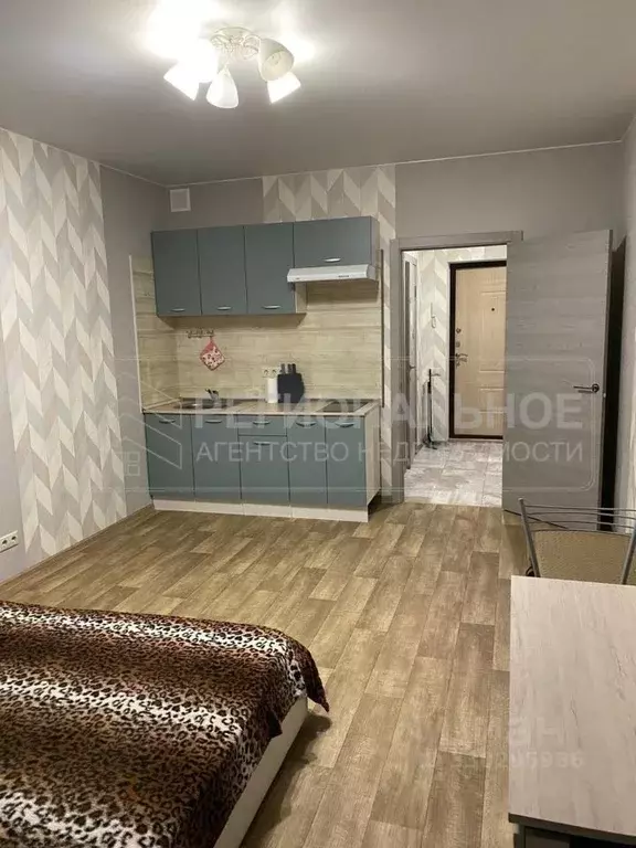 Студия Московская область, Мытищи городской округ, д. Пирогово ул. ... - Фото 1