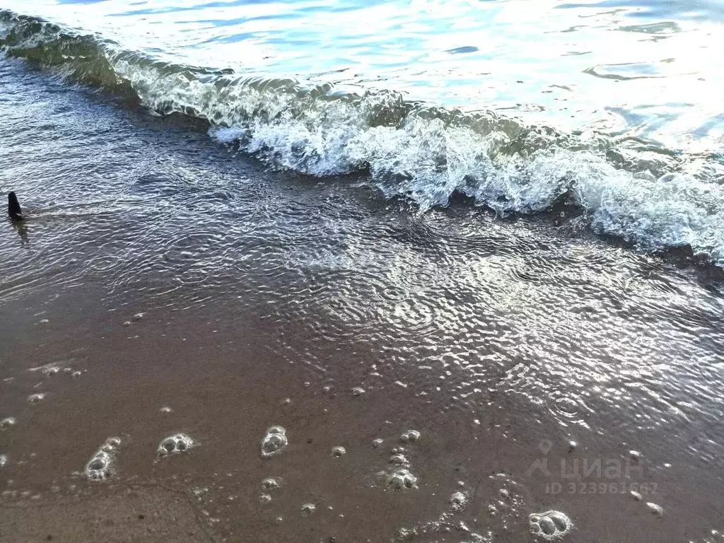 Участок в Ленинградская область, Приозерский район, Плодовское с/пос, ... - Фото 1