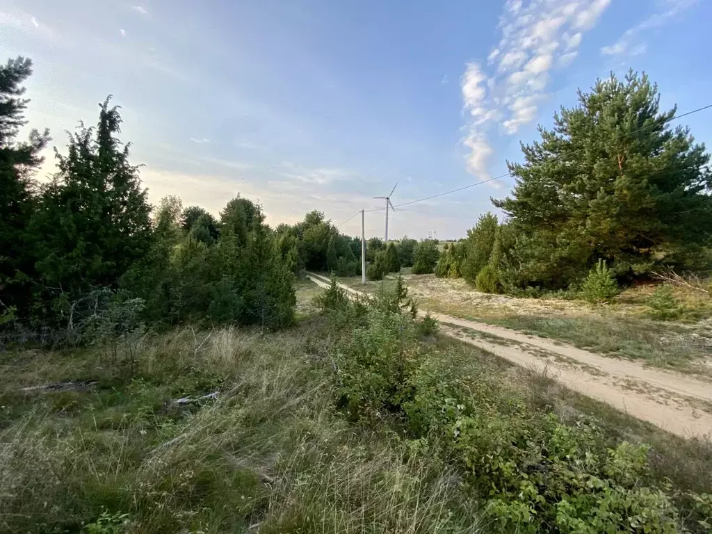 Участок в Псковская область, Гдовский район, Спицинская волость, д. ... - Фото 1