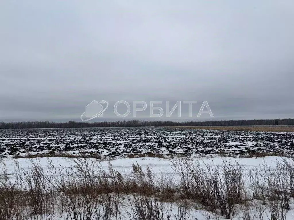 Участок в Тюменская область, Тюменский муниципальный округ, д. Елань ... - Фото 1