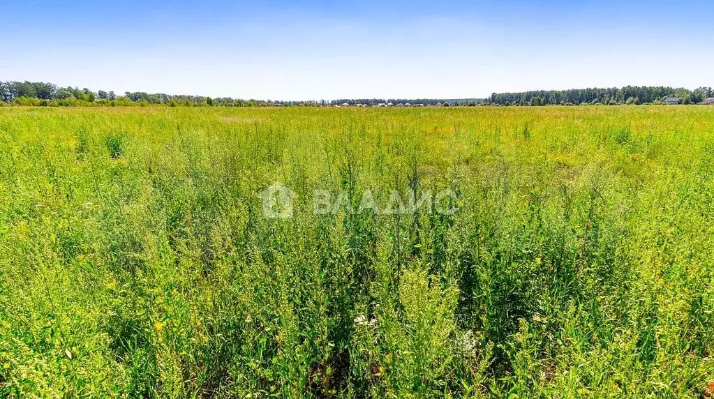 Участок 6,2 сот. (СНТ, ДНП) - Фото 0