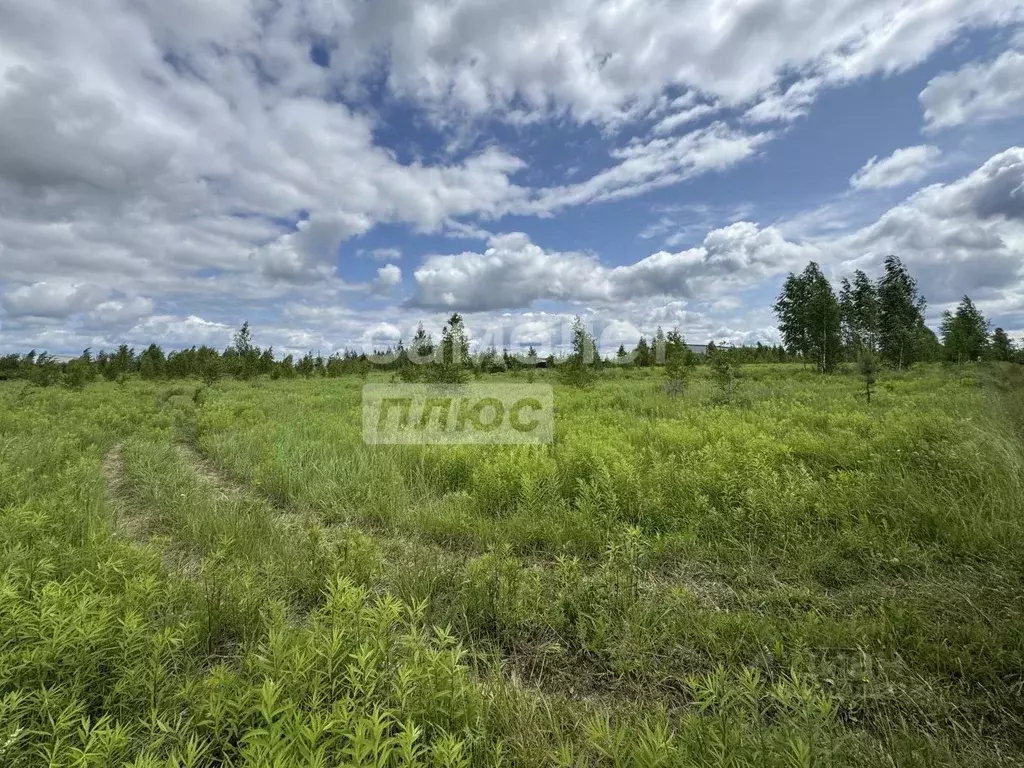 Участок в Брянская область, Брянский район, Добрунское с/пос, с. ... - Фото 2
