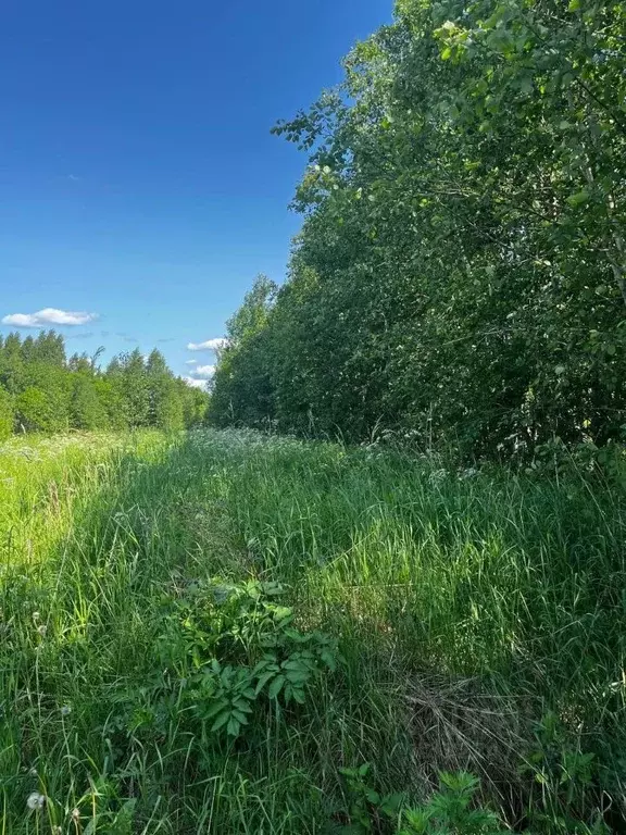Участок в Вологодская область, Череповецкий район, д. Нова ул. Тихая, ... - Фото 0