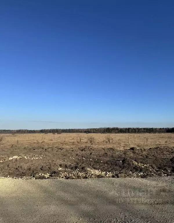 Участок в Ленинградская область, Тосненское городское поселение, д. ... - Фото 1
