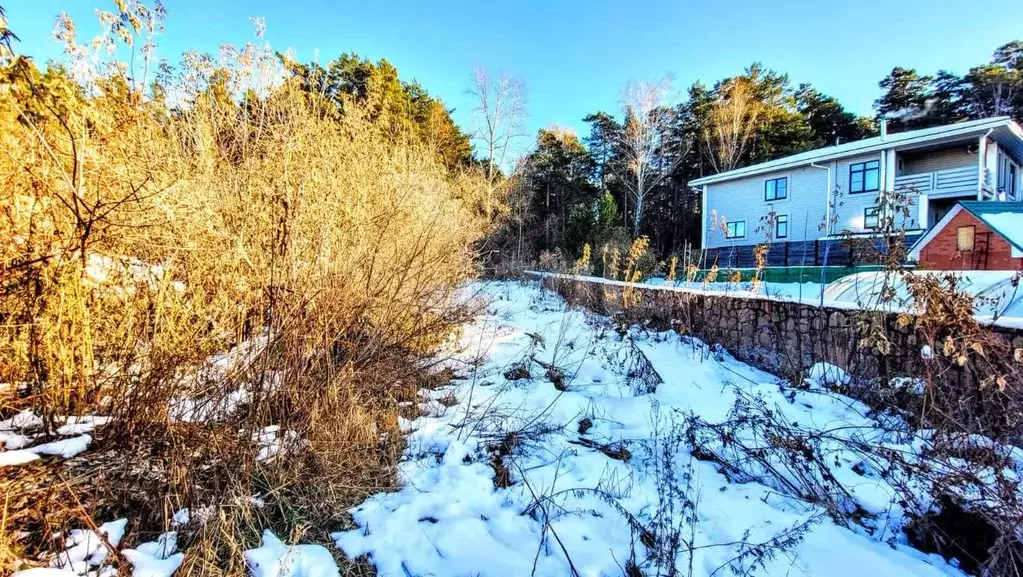 Участок в Новосибирская область, Новосибирский район, Мочищенский ... - Фото 1