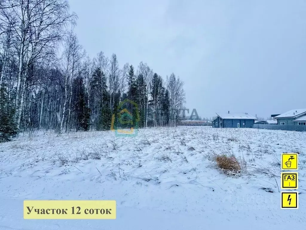 Участок в Ленинградская область, Приозерский район, Запорожское с/пос, ... - Фото 2
