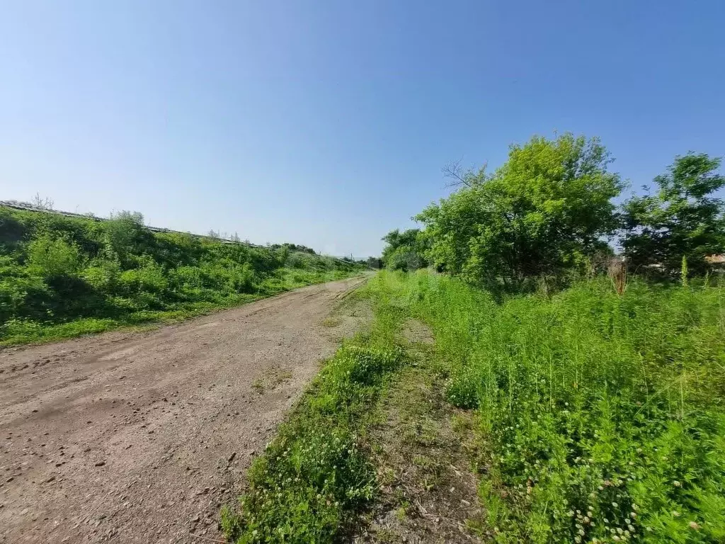 Участок в Приморский край, Артемовский городской округ, с. Кневичи  ... - Фото 0