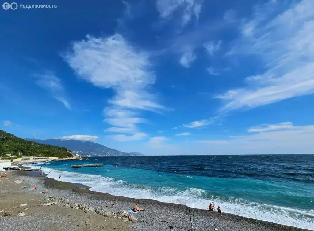 3-комнатная квартира: Курпаты, Алупкинское шоссе, 10 (140 м) - Фото 2