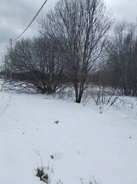 Участок в Московская область, Ступино городской округ, д. Бурцево ул. ... - Фото 0