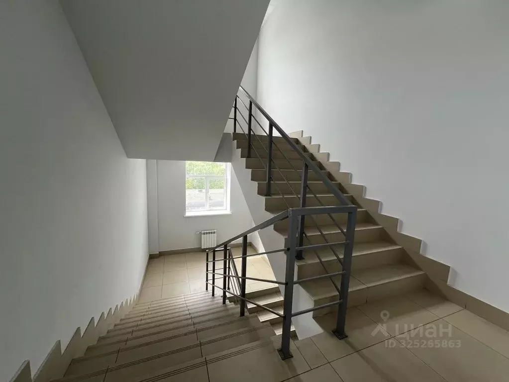 Офис в Татарстан, Казань ул. Ирек, 1к4 (211 м) - Фото 2