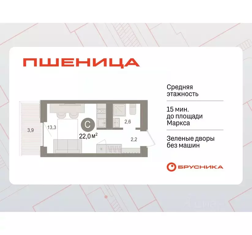 Студия Новосибирская область, Новосибирский район, Краснообск рп ... - Фото 1