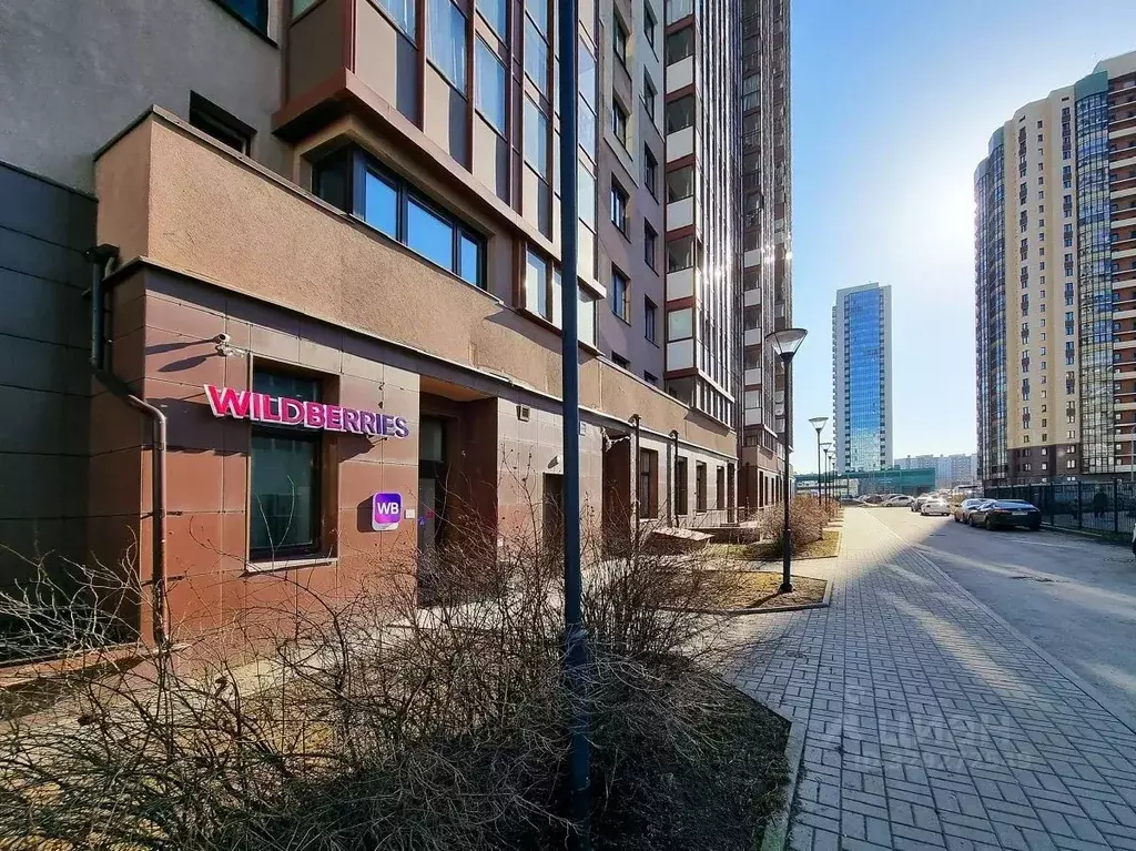 Помещение свободного назначения в Санкт-Петербург пос. Парголово, ул. ... - Фото 1