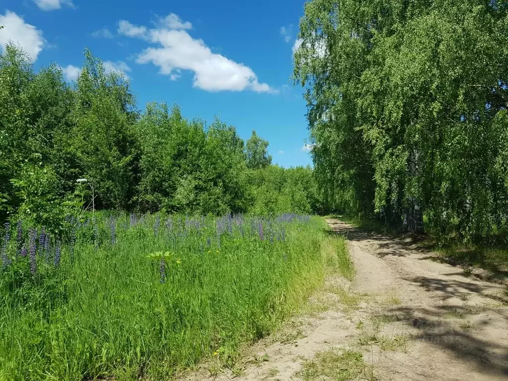 Участок в Нижегородская область, Богородский муниципальный округ, с. ... - Фото 1