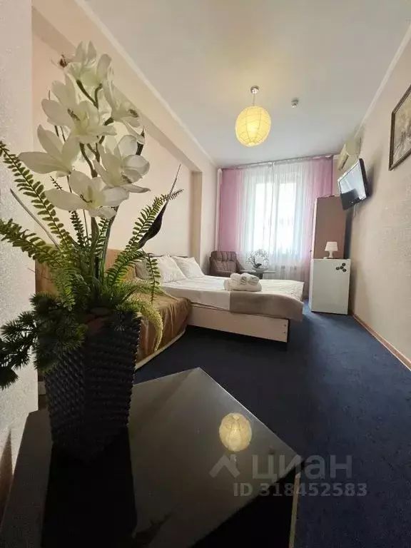 Комната Краснодарский край, Сочи Адлер жилрайон, ул. Чкалова, 34/2 - Фото 2