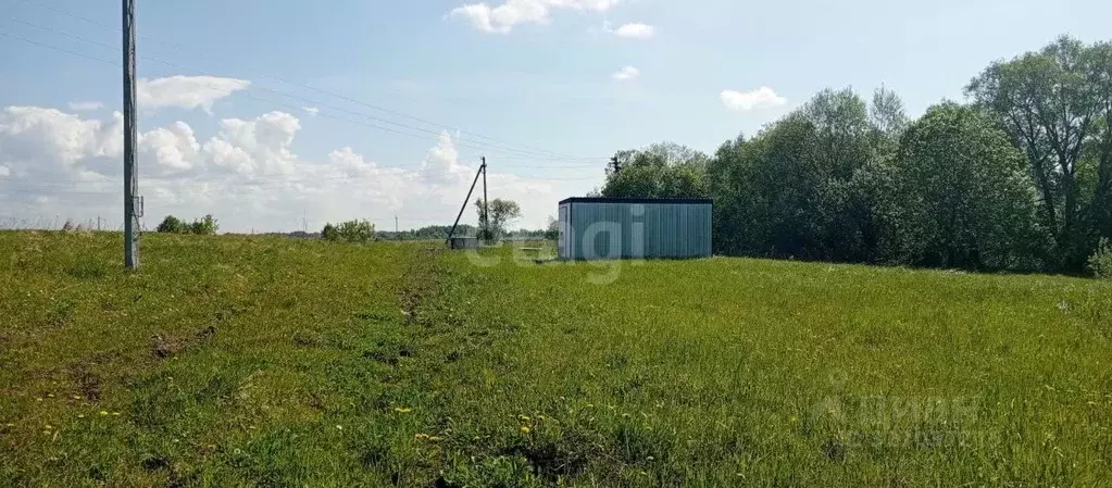 Участок в Калужская область, Бабынинский муниципальный округ, Утешево ... - Фото 1