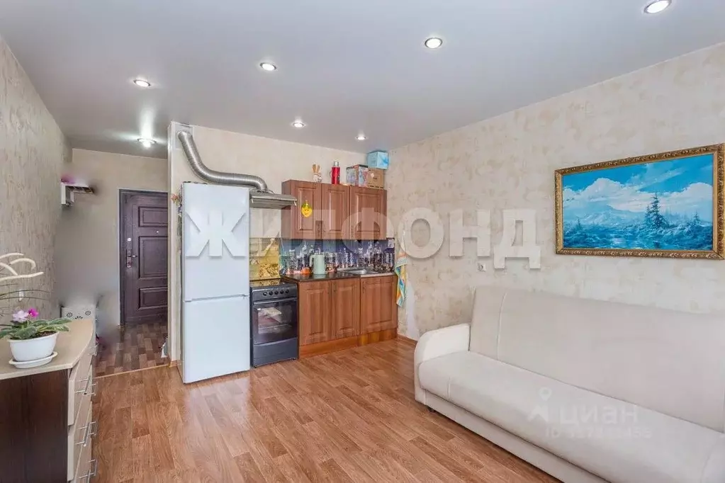 Студия Новосибирская область, Новосибирск ул. Фадеева, 66/5 (23.1 м) - Фото 1