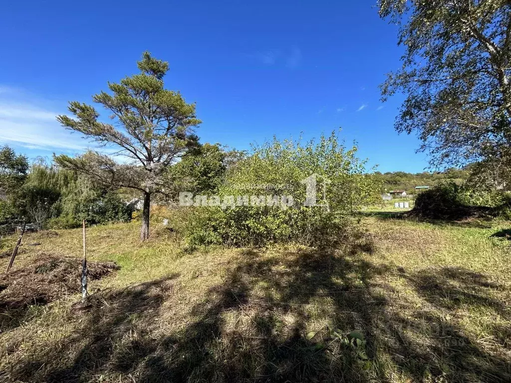 Участок в Приморский край, Партизанский муниципальный округ, Золотое ... - Фото 1