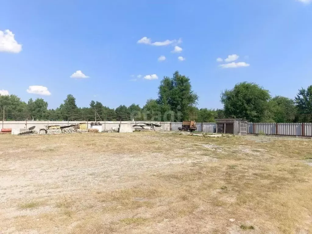 Помещение свободного назначения в Белгородская область, Новооскольский ... - Фото 1