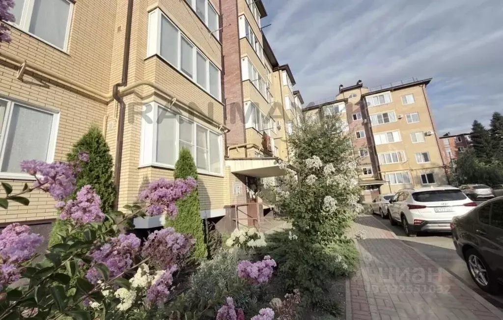 1-к кв. Адыгея, Майкоп ул. Димитрова, 23Б (41.0 м) - Фото 1