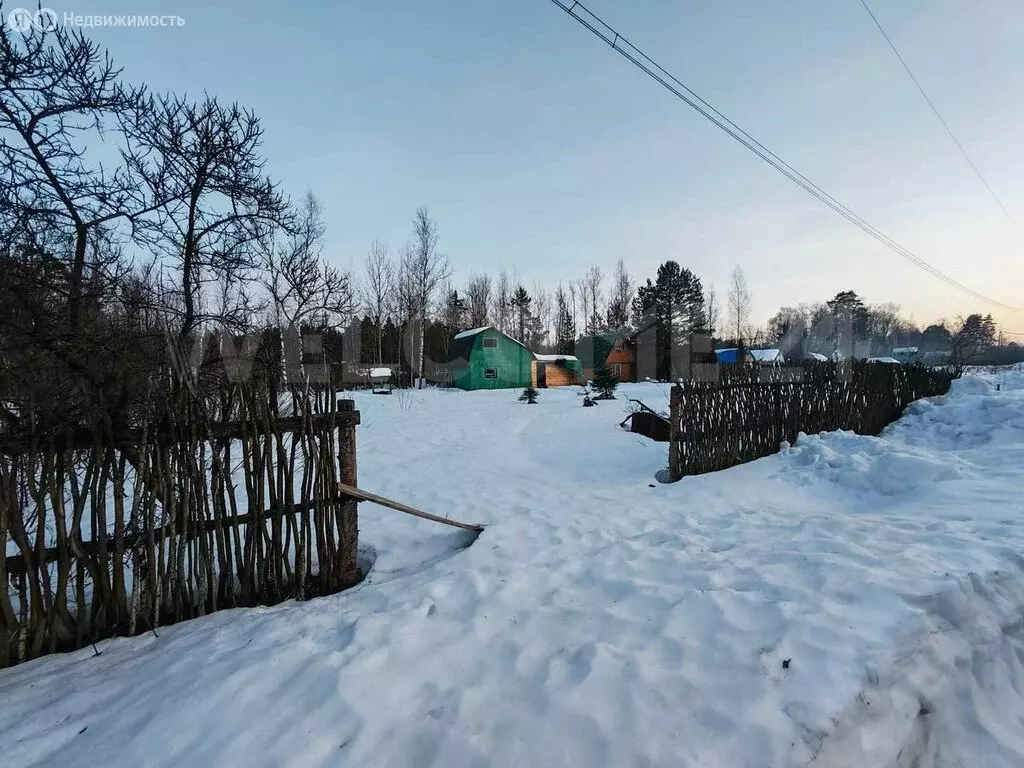 Участок в Богородский городской округ, СТ Дружба Плюс, Малиновая улица ... - Фото 1