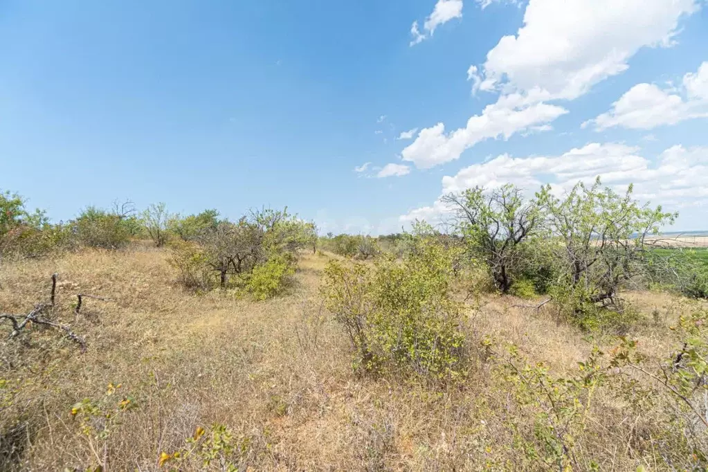 Участок в Крым, Бахчисарайский район, с. Вилино  (108.31 сот.) - Фото 1