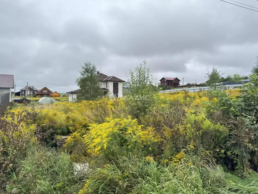 Участок в Владимирская область, Суздальский район, Павловское ... - Фото 1