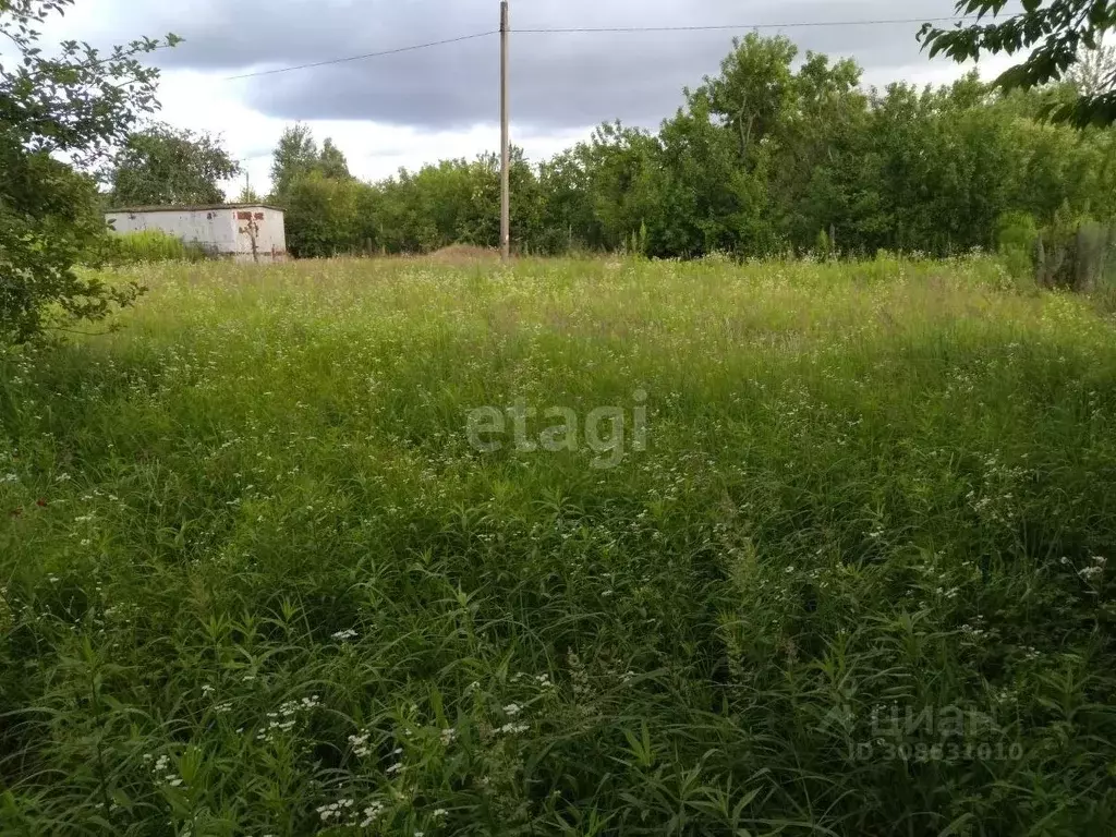 Участок в Брянская область, Брянский район, Чернетовское с/пос, с. ... - Фото 1