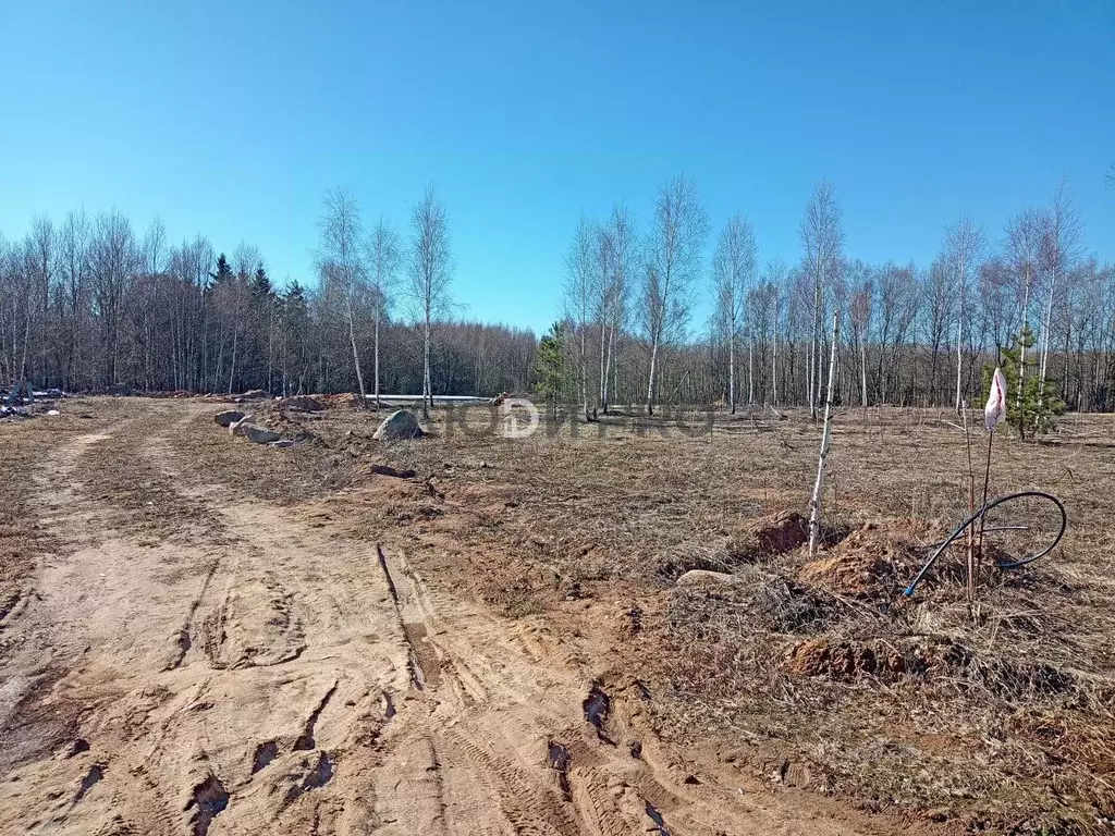 Участок в Тверская область, Калининский муниципальный округ, д. ... - Фото 2