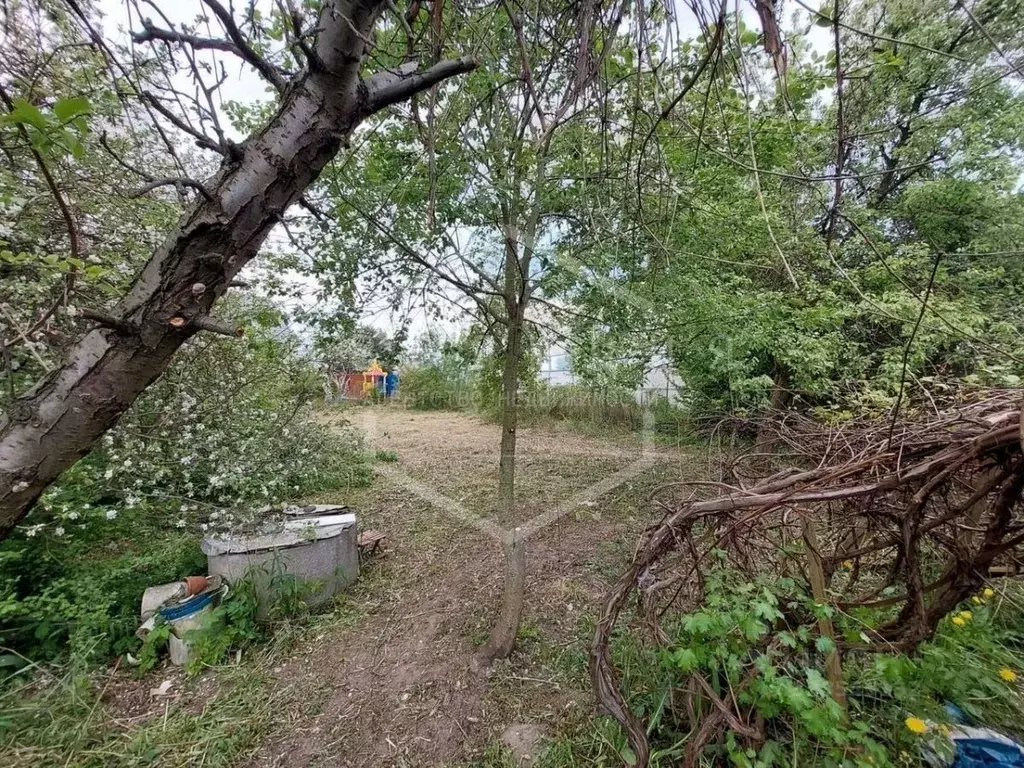 Участок в Калининградская область, Калининград Сад-9 СНТ, ул. ... - Фото 2