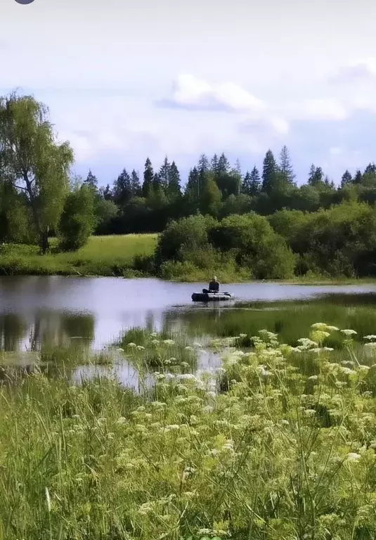 Дом в Московская область, Пушкинский городской округ, Бортнево-5 кп  ... - Фото 1