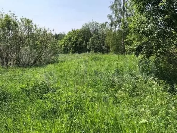 Участок в Вологодская область, Усть-Кубинский муниципальный округ, д. ... - Фото 1