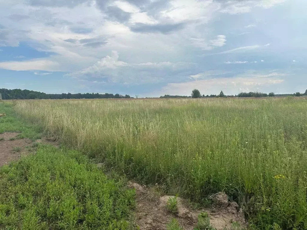 Участок в Тульская область, Тула городской округ, д. Юрьево  (12.0 ... - Фото 1