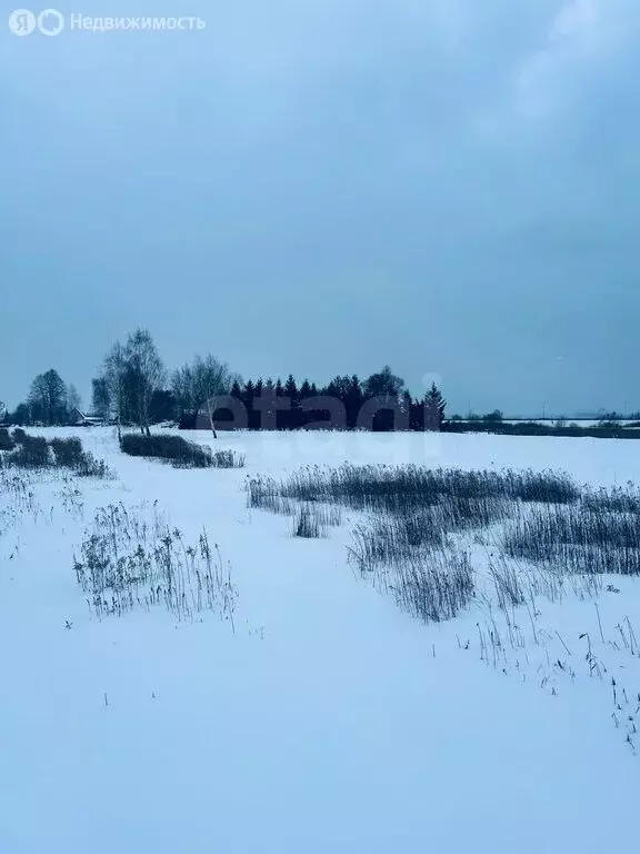 Участок в Калининградская область, Гвардейский муниципальный округ, ... - Фото 1