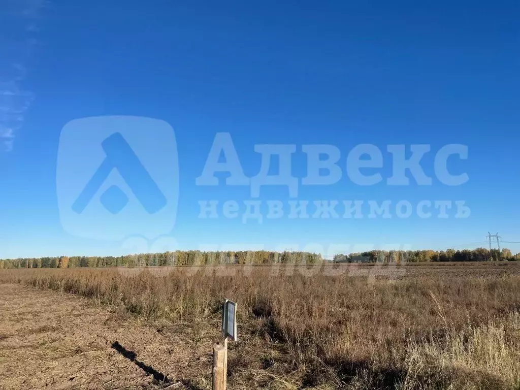 Участок в Тюменская область, Тюменский муниципальный округ, с. Каменка ... - Фото 1