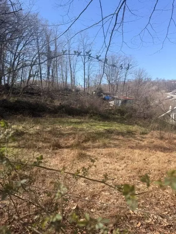 Участок в Краснодарский край, Сочи городской округ, с. Раздольное, ... - Фото 1
