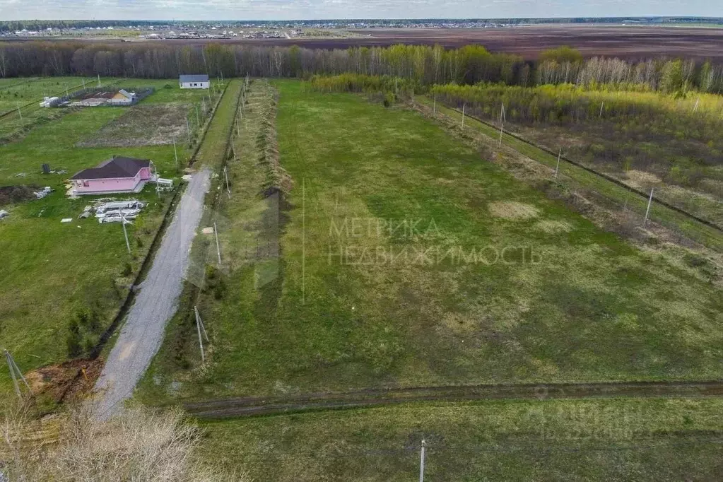 Участок в Тюменская область, Тюменский муниципальный округ, с. Успенка ... - Фото 1