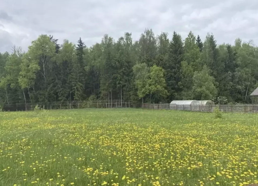 Участок в Калужская область, Боровский муниципальный округ, д. ... - Фото 1