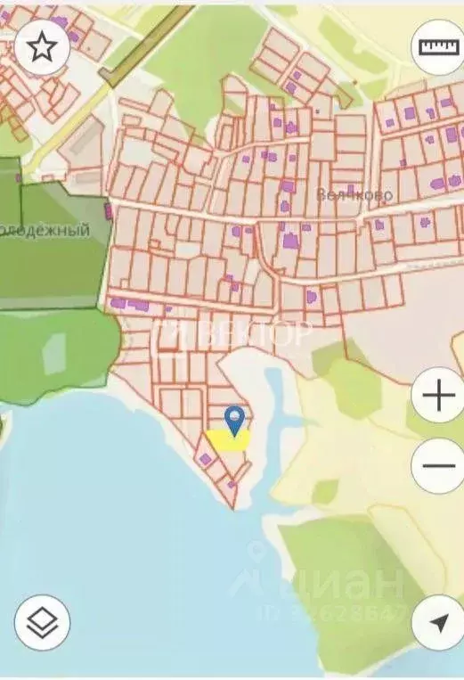 Участок в Костромская область, Красносельский район, Боровиковское ... - Фото 2