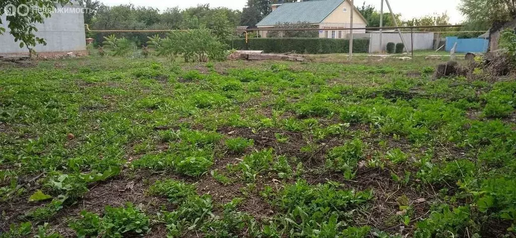 Участок в Корочанский район, Ломовское сельское поселение, село ... - Фото 2