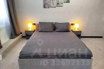 1-к кв. Хабаровский край, Хабаровск ул. Чкалова, 14 (30.0 м) - Фото 1