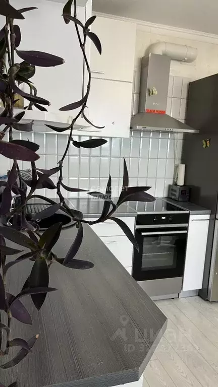 2-к кв. Краснодарский край, Анапа ул. Ленина, 233 (60.9 м) - Фото 2