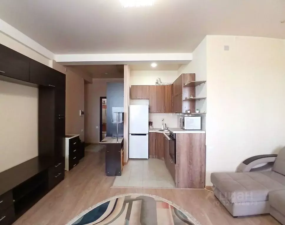 1-к кв. Московская область, Богородский городской округ, д. Щемилово ... - Фото 2